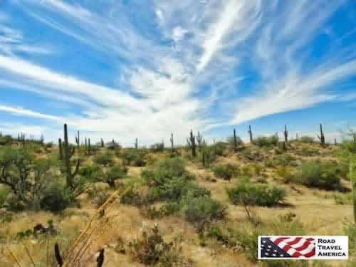 One of the most popular destinations in Tucson ... Saguaro National Park