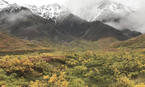 Expect wide variations in weather and temperature at Denali