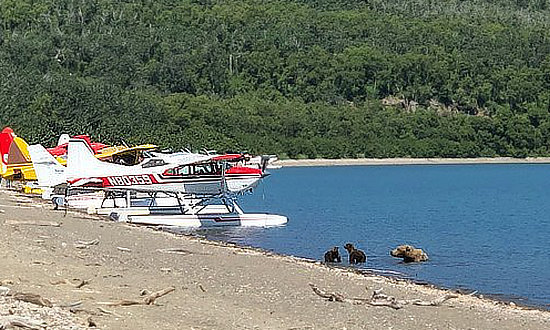 A common sight in in Katmai National Park - float planes and brown bears