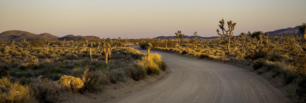 Sunset along the Geology Tour Road at Joshua Tree National Park