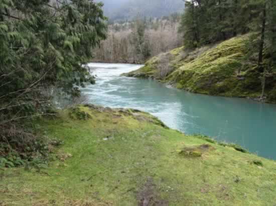 Scene along the Elwah River in Olympic National Park