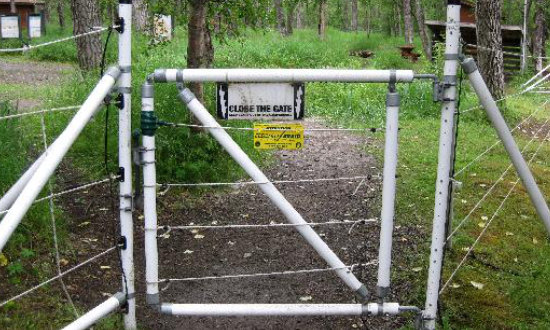 CLOSE THE GATE! Keep the brown bears out, at Katmai National Park in Alaska
