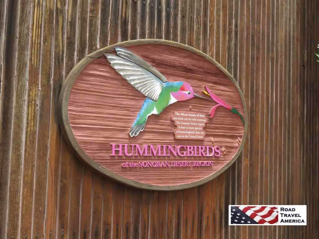 Experience hummingbirds up close and personal at the Arizona-Sonora Desert Museum