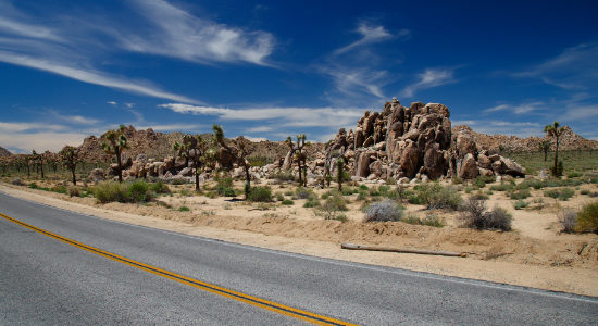 Getting to and around Joshua Tree National Park in California