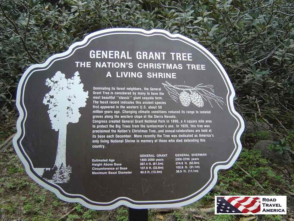 General Grant Tree ... The Nation's Christmas Tree ... A Living Shrine