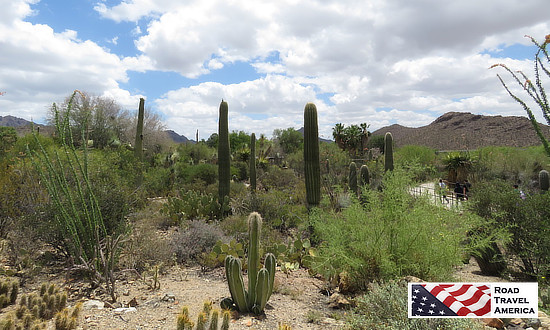 Tucson is home to the University of Arizona, Saguaro National Park, and Davis-Monthan AFB. Tourism is a major industry in Tucson, bringing in $2 billion annually to the local economy. Attractions such as the Arizona-Sonora Desert Museum and the Catalina Highway attract visitors to the area year round.