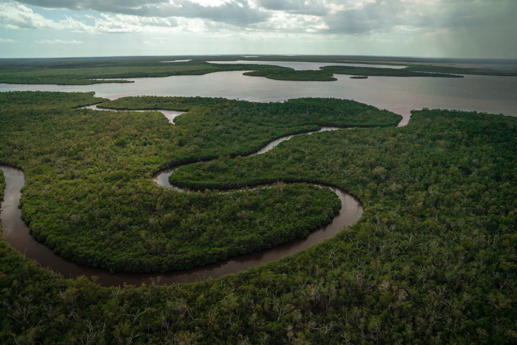 Aerial view of part of Everglades National Park in southern Florida