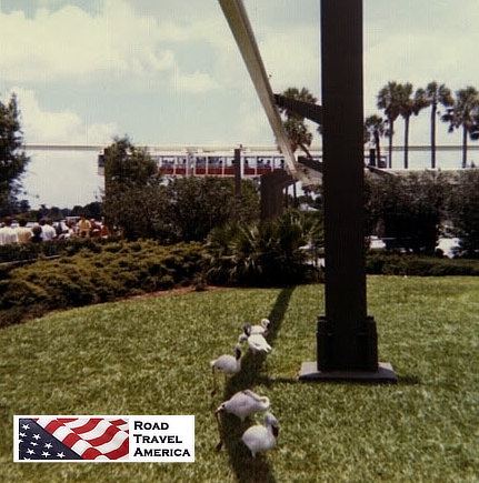 Busch Gardens in Tampa, Florida, circa 1969
