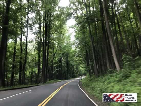 Beautiful winding roads cross the Great Smoky Mountains National Park