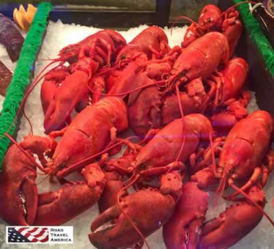 Maine Lobsters ... a great reason to travel to Bar Harbor! 