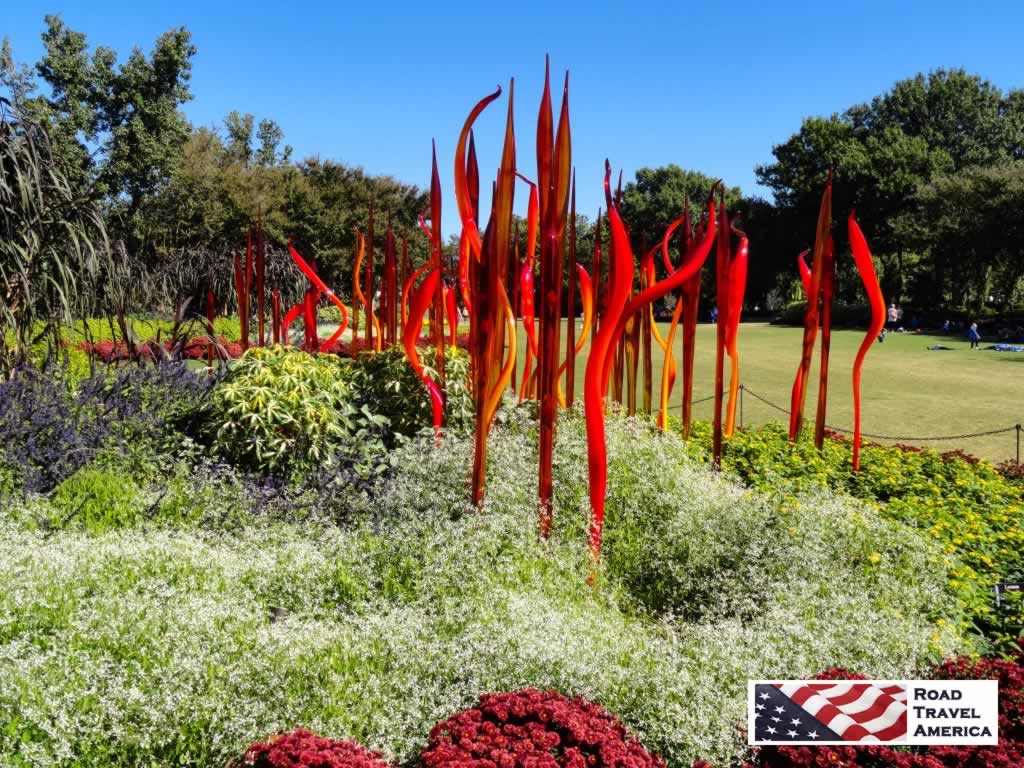 Bold, bright red "flowers" in the gardens of the Arboretum during the Dale Chihuly Exhibit
