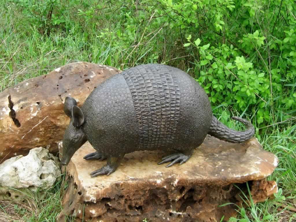 Armadillo sculpture at the Wildflower Center in Austin