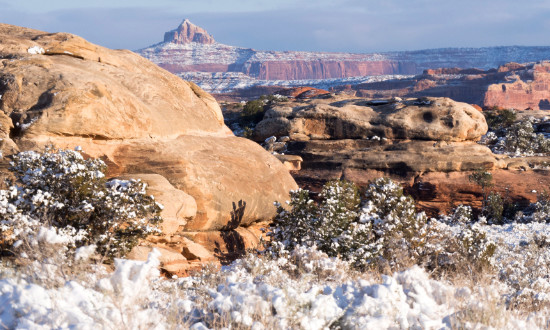 A snowy day in Canyonlands National Park