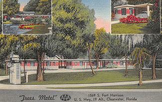 Trees Motel, 1569 S. Fort Harrison, US Highway 19 Alt, in Clearwater, Florida