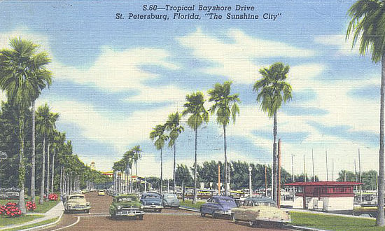Tropical Bayshore Drive in St. Petersburg, Florida