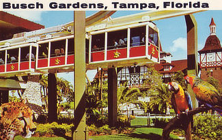 Busch Gardens in Tampa Florida ... tramway