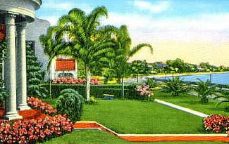 Lush vegetation and palm trees along Bayshore Boulevard in Tampa, Florida