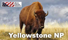 Yellowstone National Park travel, directions, maps, lodging and things to do